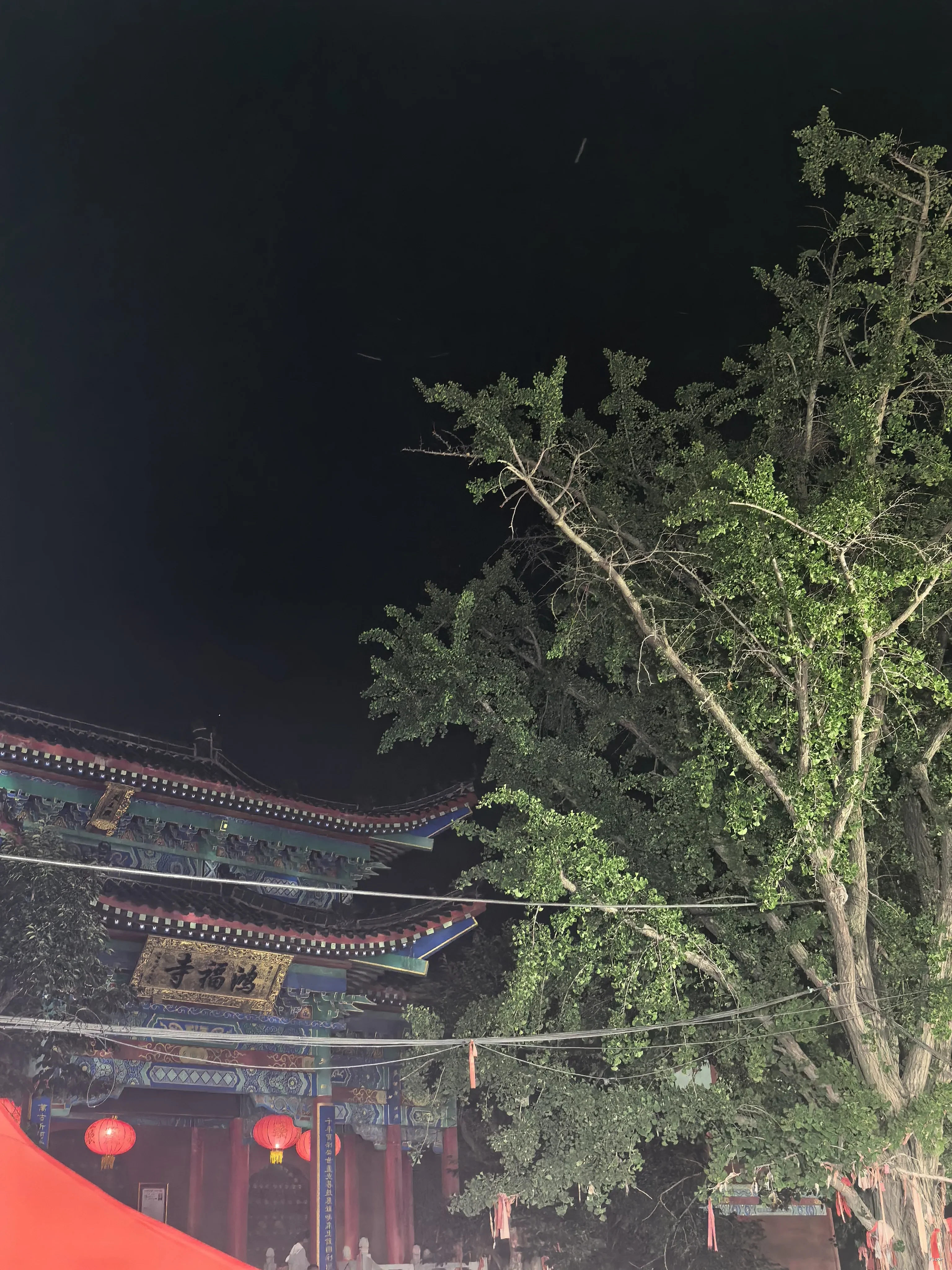 鸿福寺和银杏树