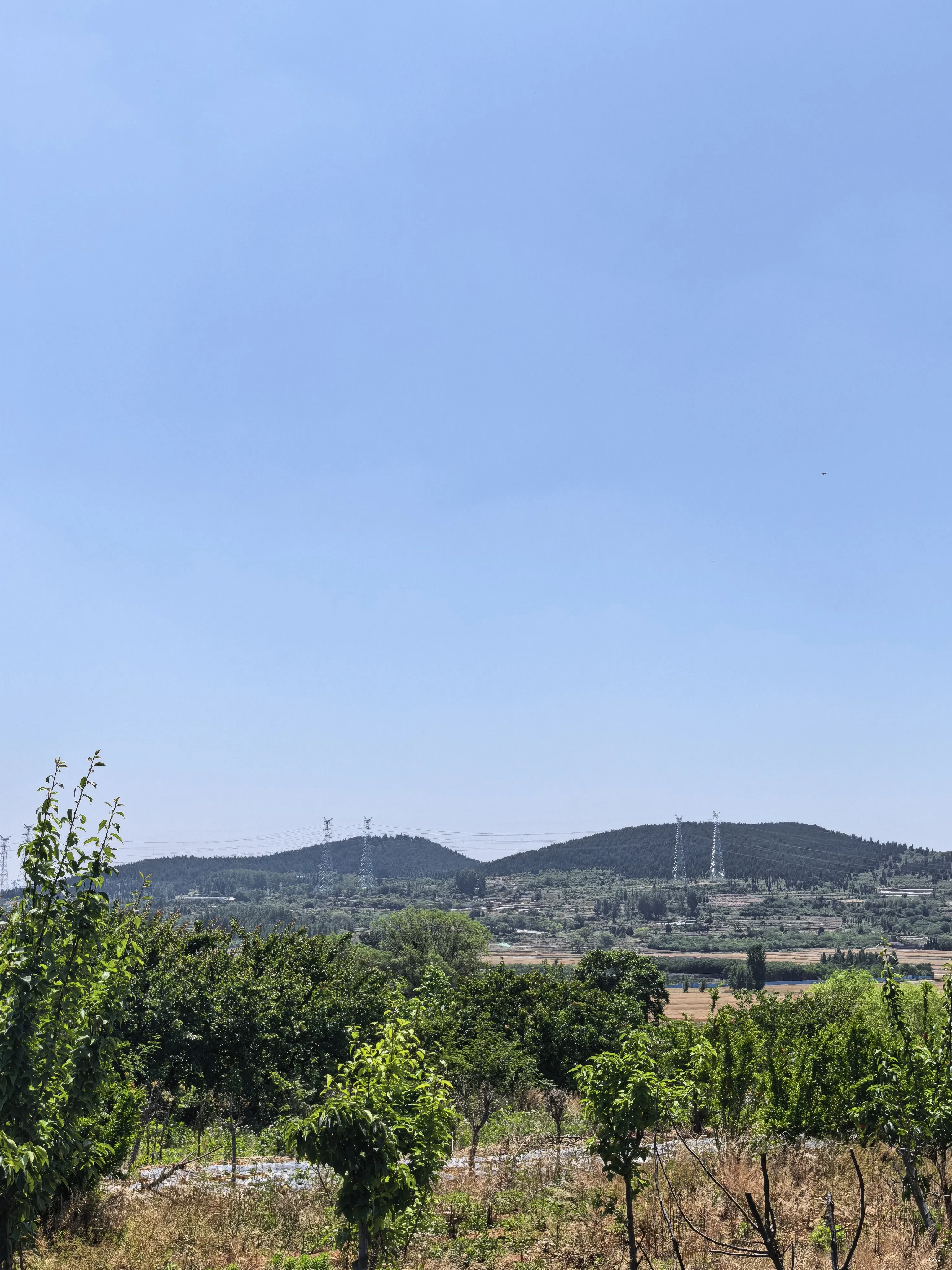 远山.webp